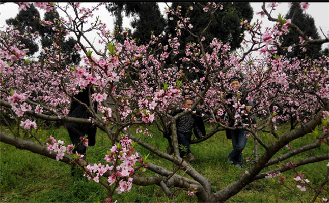 【互動(dòng)家園】不惑之年如一夢(mèng)，白駒相逢近十八