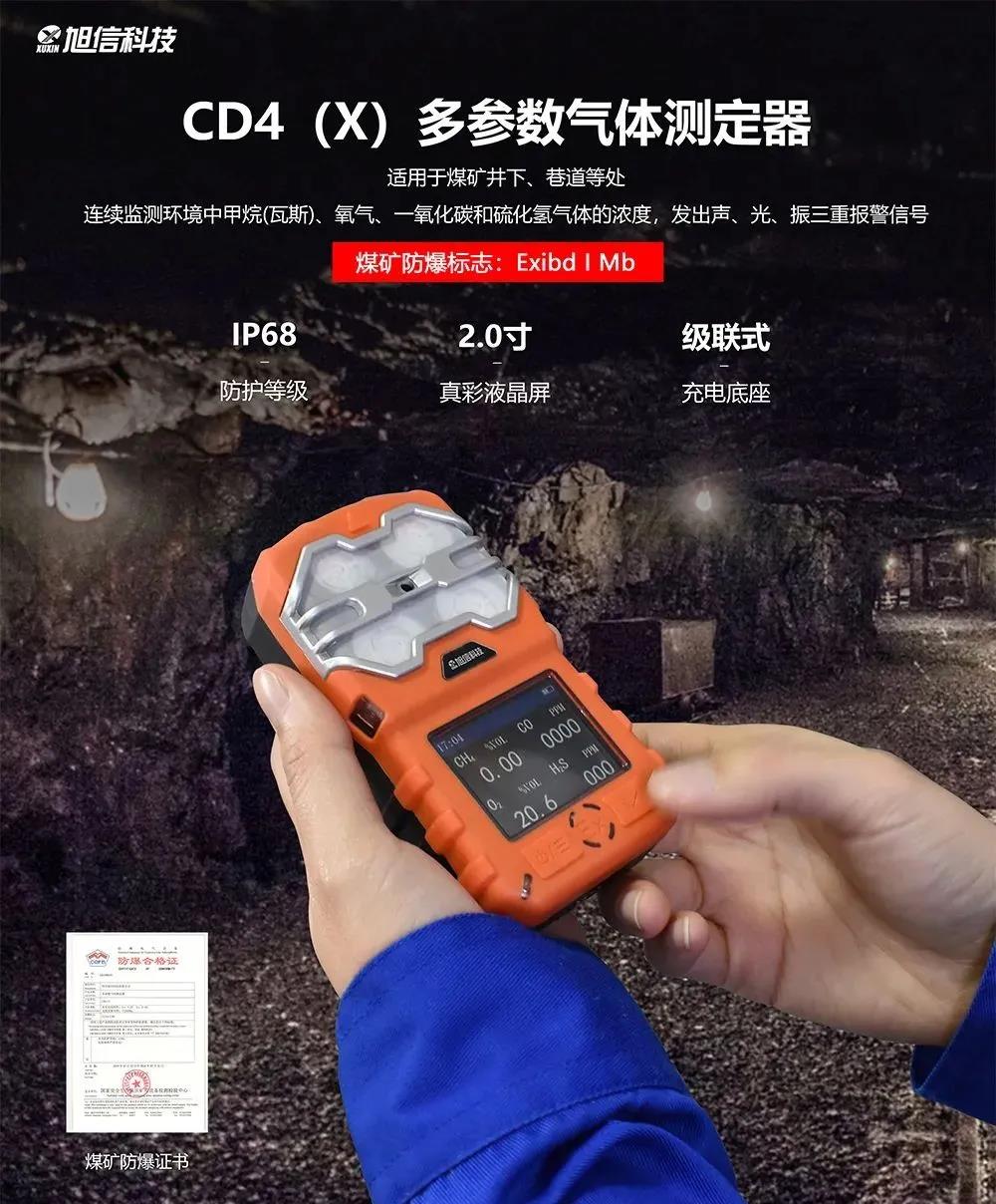 CD4 X多參數氣體檢測儀.jpg